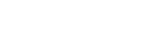 LSW-Noleggio-logo