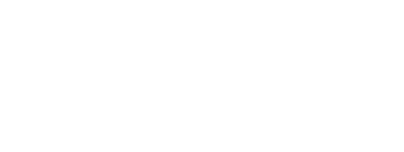 LSW-Noleggio-logo